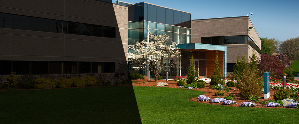 Springfield Gardens Landscapers