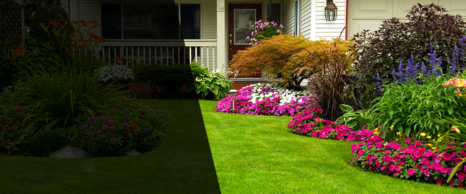 Springfield Gardens Landscapers