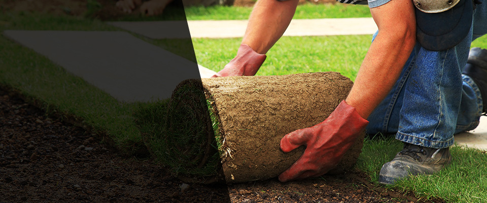 Springfield Gardens Landscapers